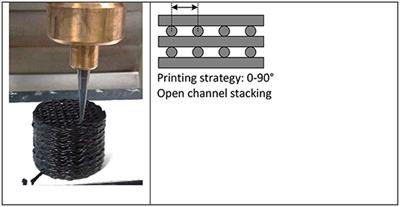 3D Printed PEI Containing Adsorbents Supported by Carbon Nanostructures for Post-combustion Carbon Capture From Biomass Fired Power Plants